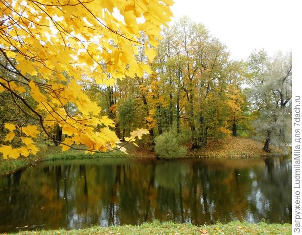 г.Пушкин октябрь