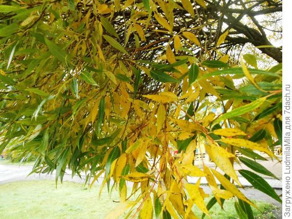 Конец октября