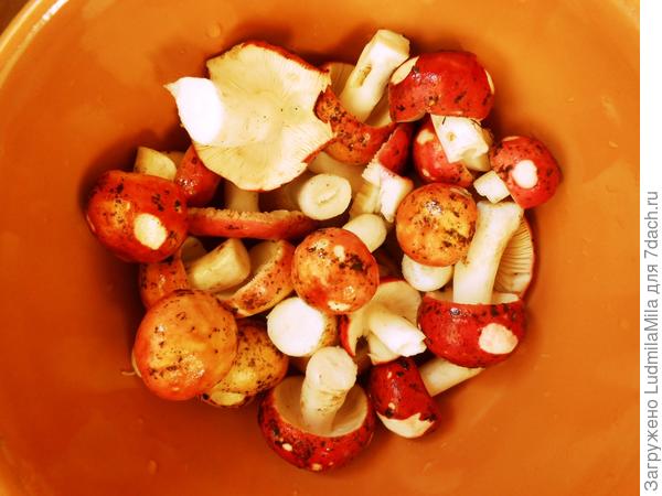 Можно сыроежки жарить...а можно засолить(говорят вкусно)