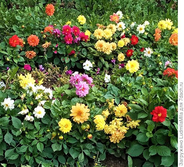 Яркого и солнечного настроения!