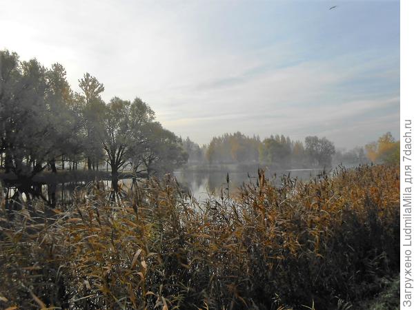 А туманы у нас осенью....