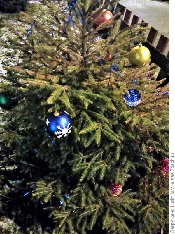 У парадного