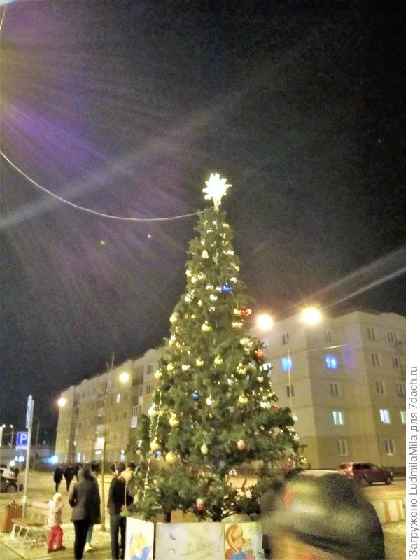 Славянка СПб