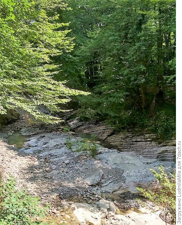 Сочи...водопады и самшитовый лес