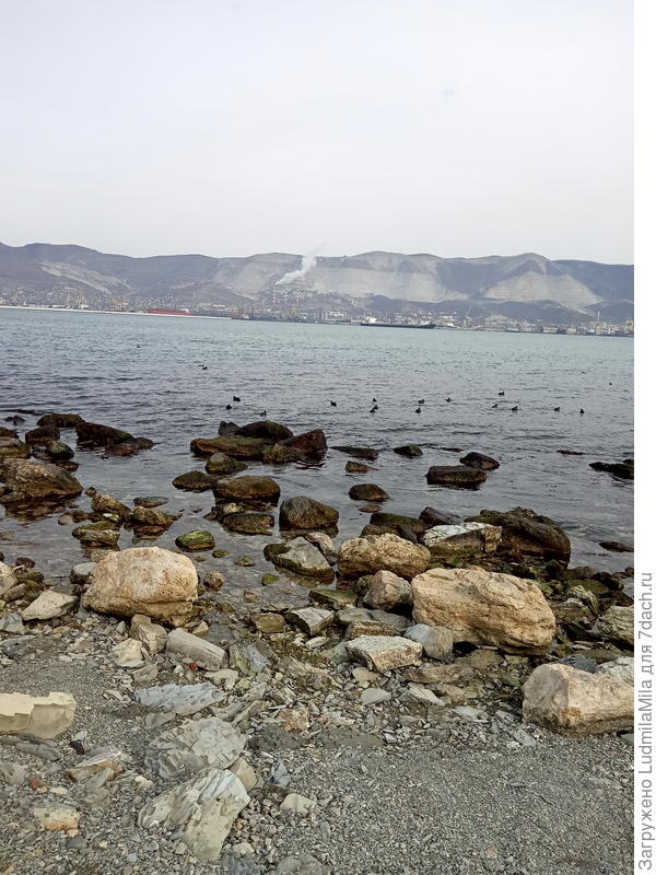 Черное море.Январь