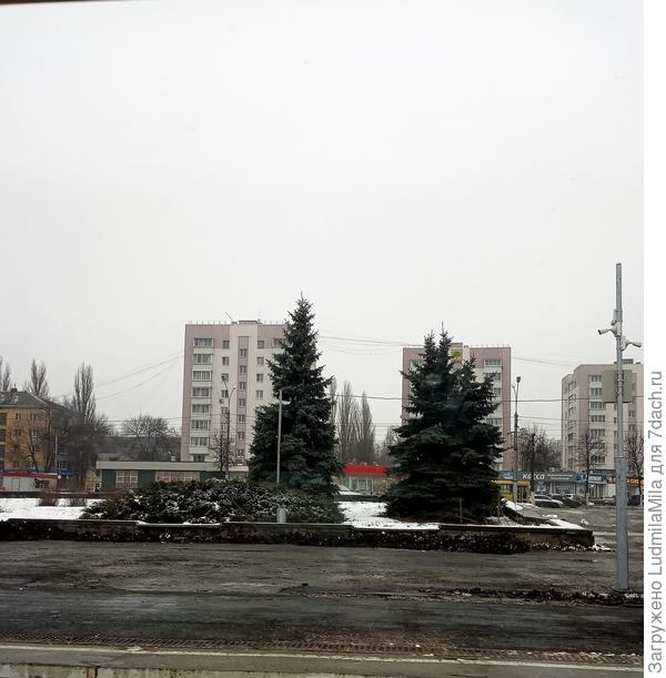 В городе снега нет.
