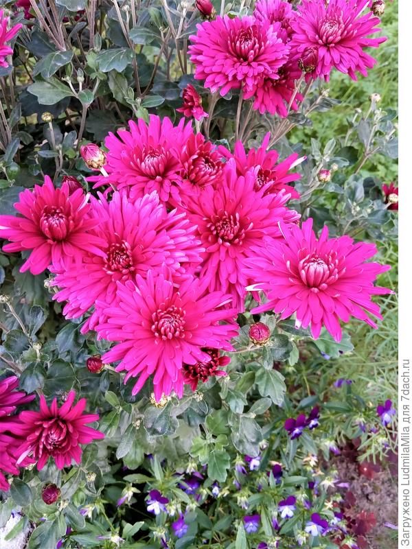 Ярких красок!!!!