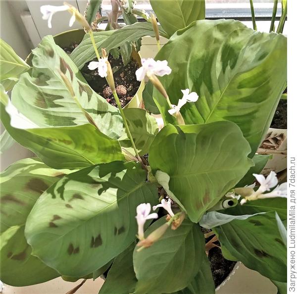 На солнышке