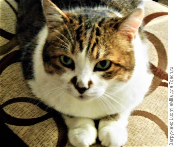 Глаза в глаза)))