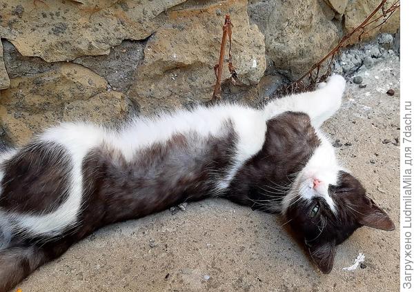 Опять фотографируешь????