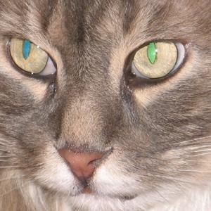 Взгляд не добрый