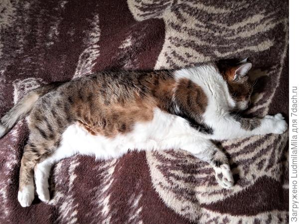 Сослепу можно и сесть))))