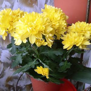 ПОЗДРАВЛЯЮ!