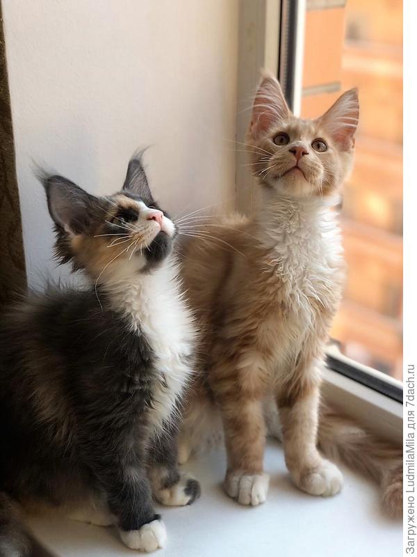 Все делаем вместе