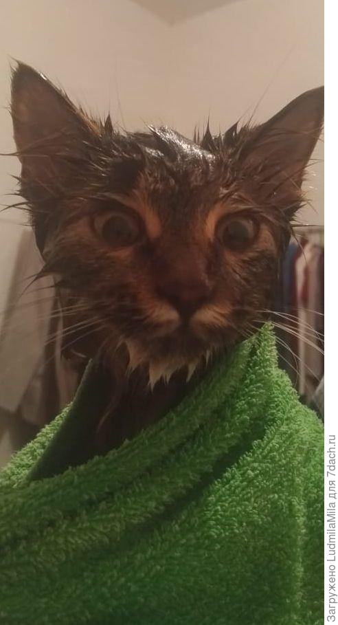 Искупали!!!!!!!!!