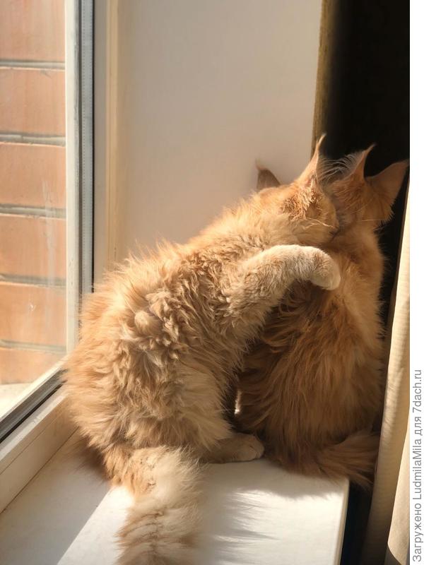 Пойдем пошушукаемся...Может каверзу еще какую-нибудь придумаем))))будь