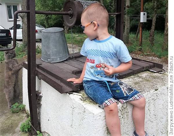 Наблюдатели))))