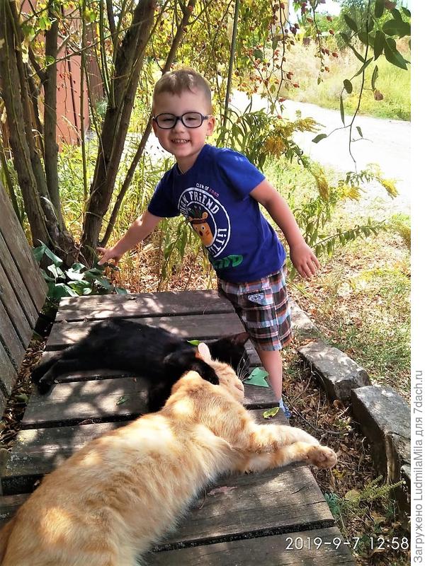 Хорошо спят..а не разбудить бы их?)))