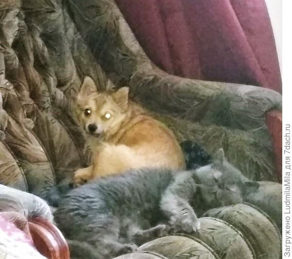 Не подходи!Мой друг спит!