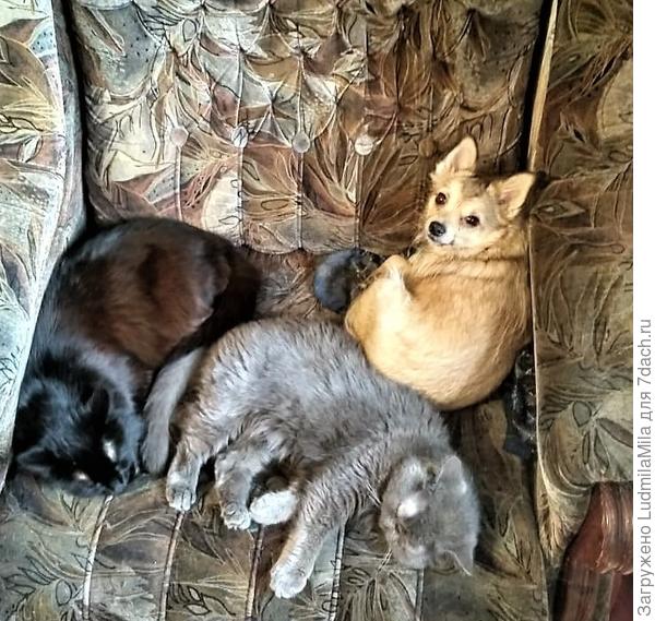 В тесноте,да не в обиде.Места хватило всем