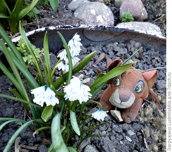 И когда же ты наступишь-Весна?