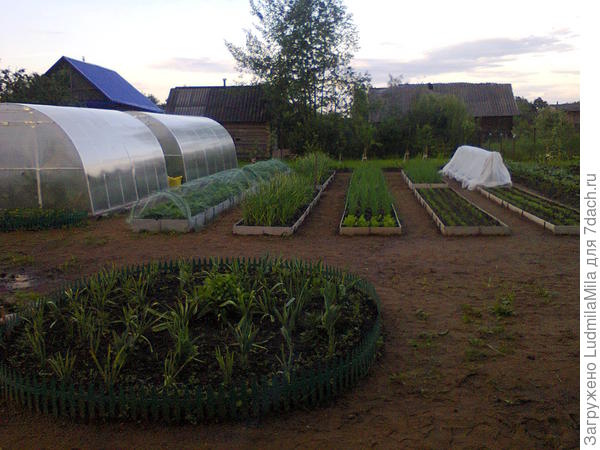 Через два года.Третьей теплицы еще нет