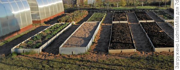 Песок и на грядки,и на дорожки