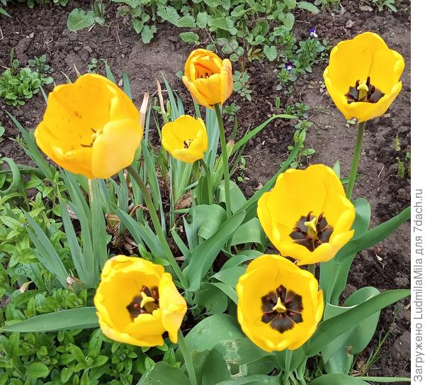 Солнечного,яркого настроения!