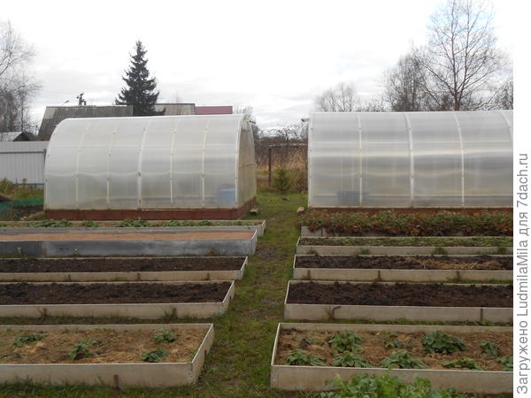 В зиму.Огород