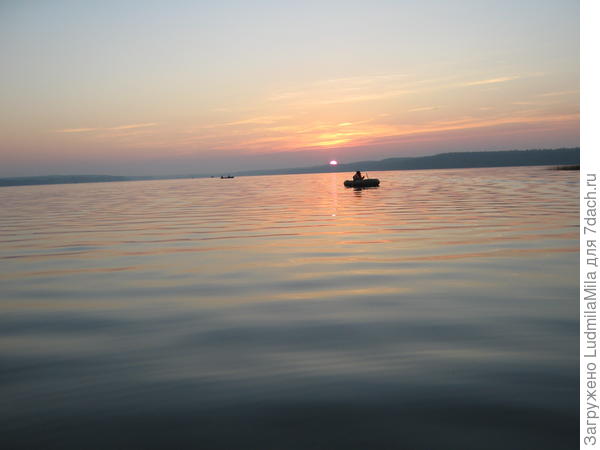 Выборгский район