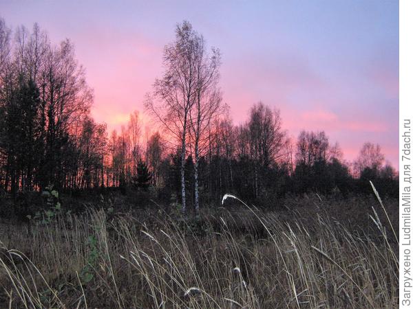 Осень.Зеленогорский район