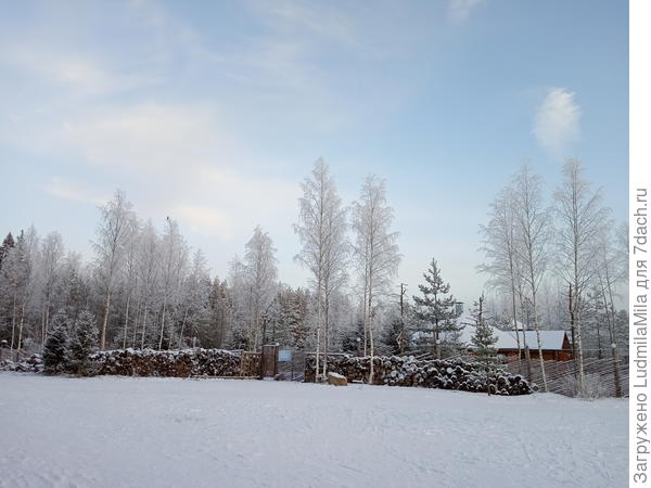 Зима.Прозрачное небо.