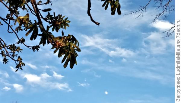 Видно уже луну...