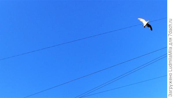 Просто небо