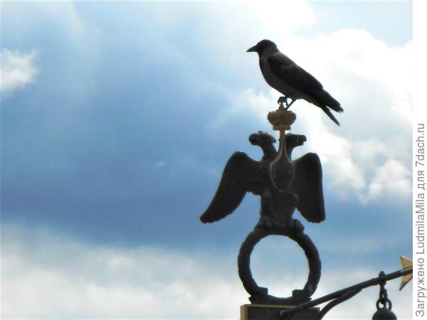 На Петропавловской крепости-страж