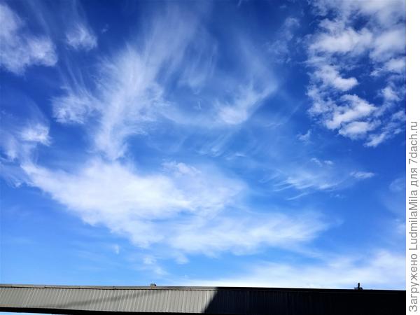 Над крышами