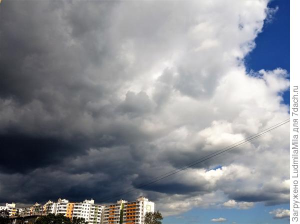 Санкт-Петербург