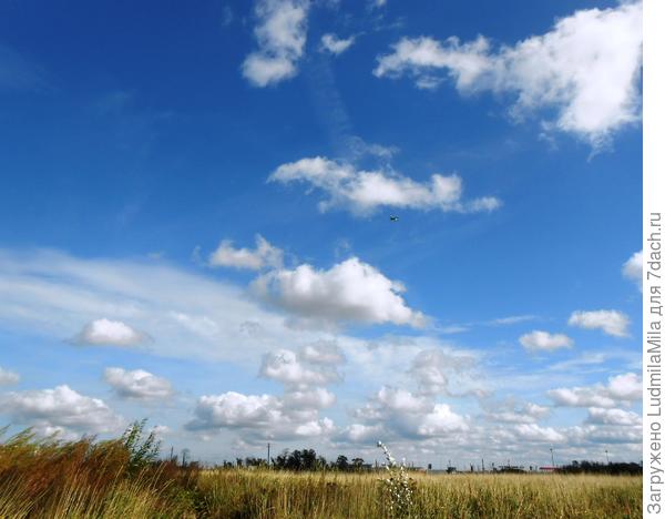 Осень...За моим домом