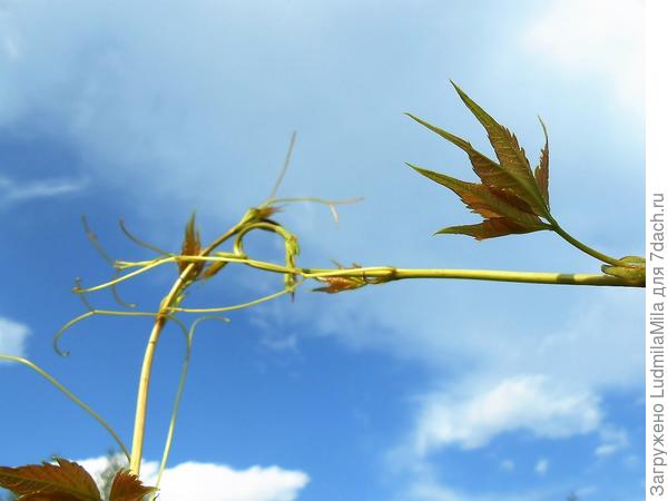 Здравствуй,друг!