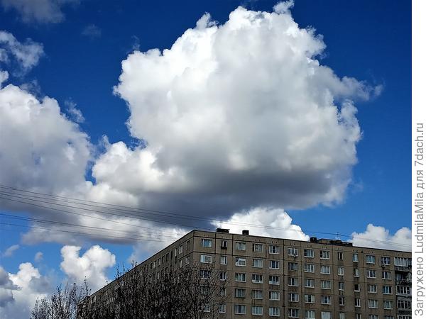 Зацепилась....