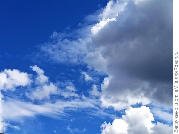 Утро...еще яркая голубизна