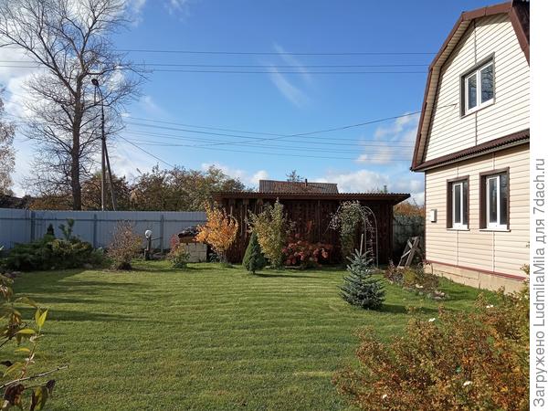 Погожие деньки..можно еще побегать по газону