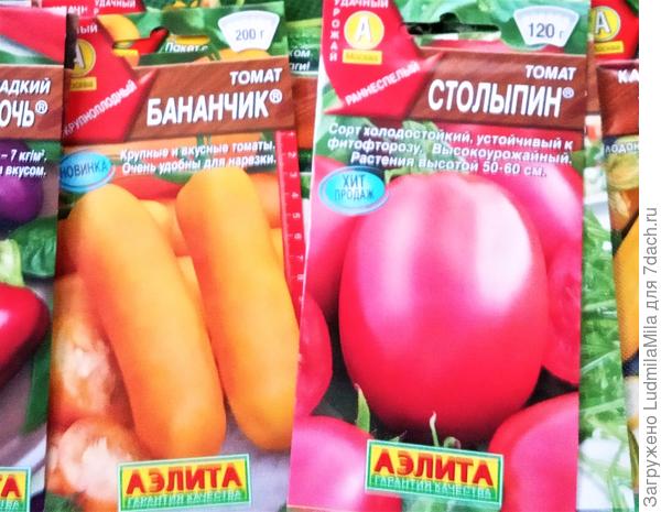 Сорта томатов