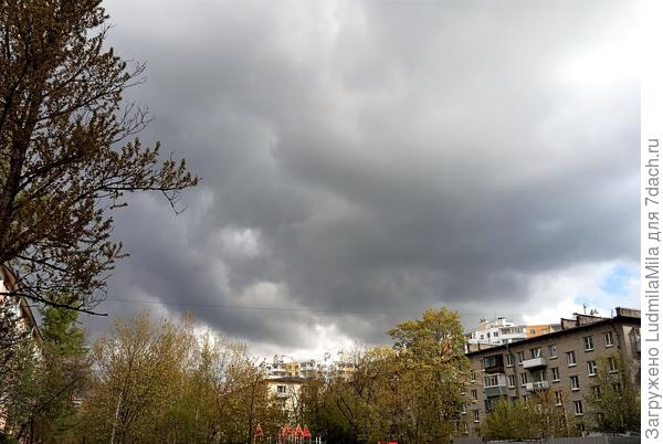 Дождь все-таки будет....