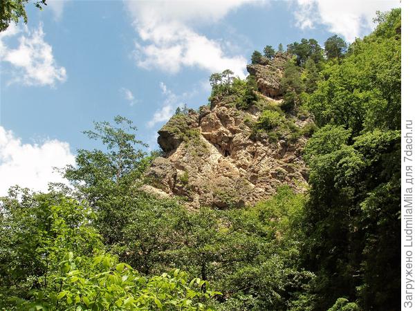 Северный Кавказ