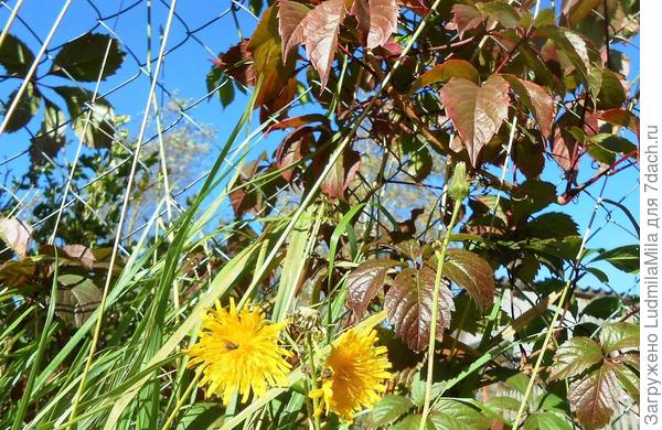 Небо в ромбик...