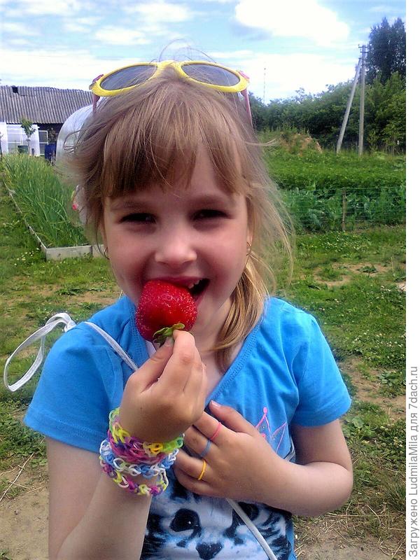 Вот она самая первая и вкусная ягодка.Племянница довольна.