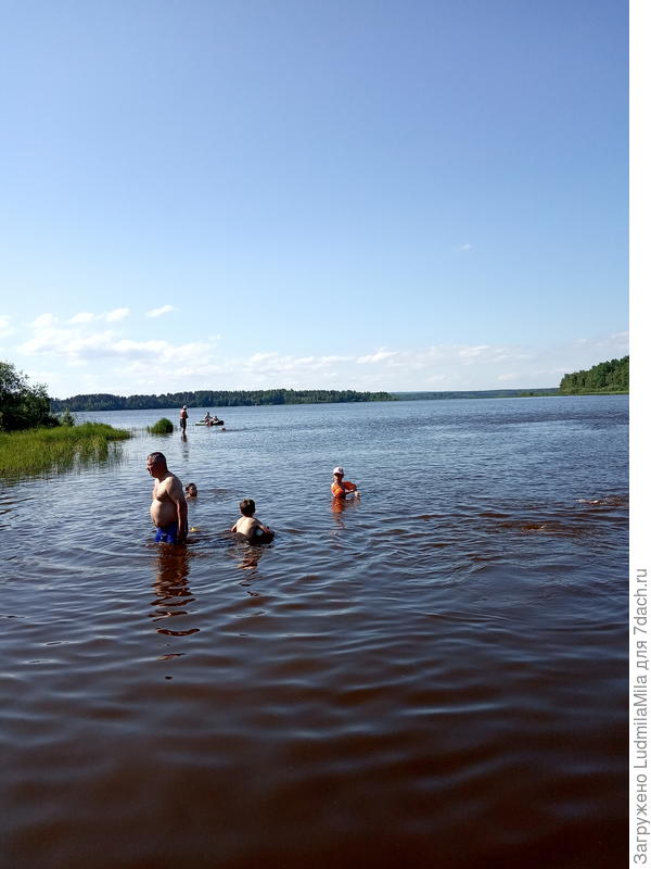 Кто купается