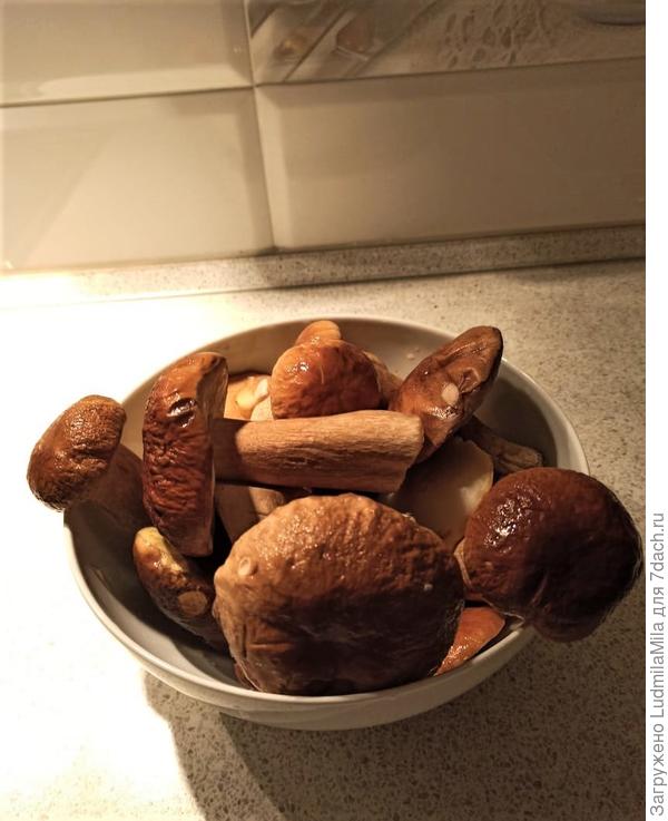 Вчерашний &amp;quot;урожай&amp;quot;