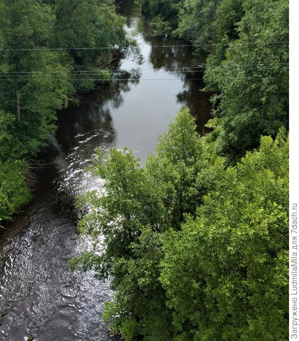 Вот такие виды.Черная речка